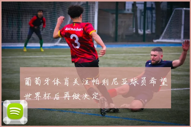 葡萄牙体育关注帕利尼亚球员希望世界杯后再做决定